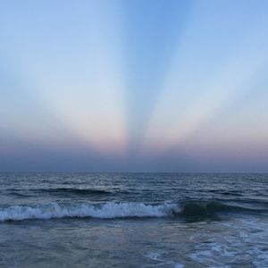 Meet your Posher, Ben